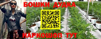 PSILOCYBIN Гусиноозёрск