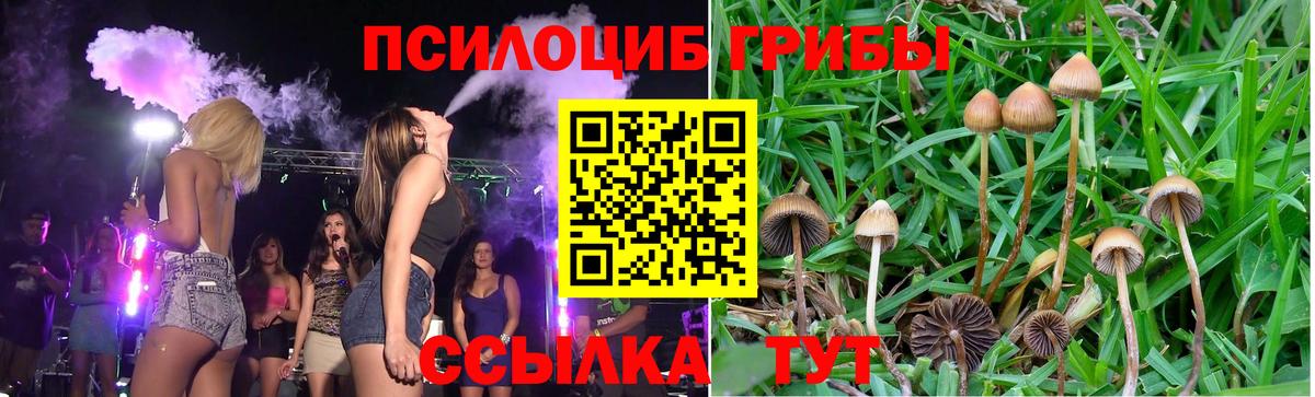 Назарово  купить закладку  Вход с VPN  Галлюциногенные грибы MAGIC MUSHROOMS 
